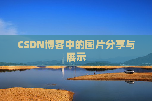 CSDN博客中的图片分享与展示